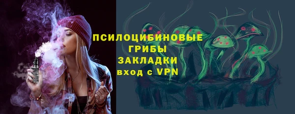 ПСИЛОЦИБИНОВЫЕ ГРИБЫ Алексин