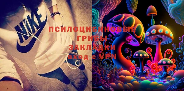 спиды Алексеевка