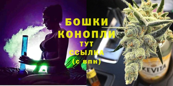 не бодяженный Ладушкин