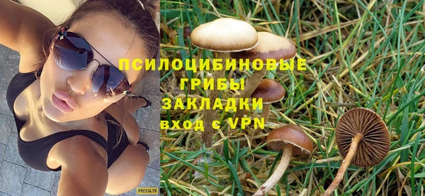 спиды Алексеевка